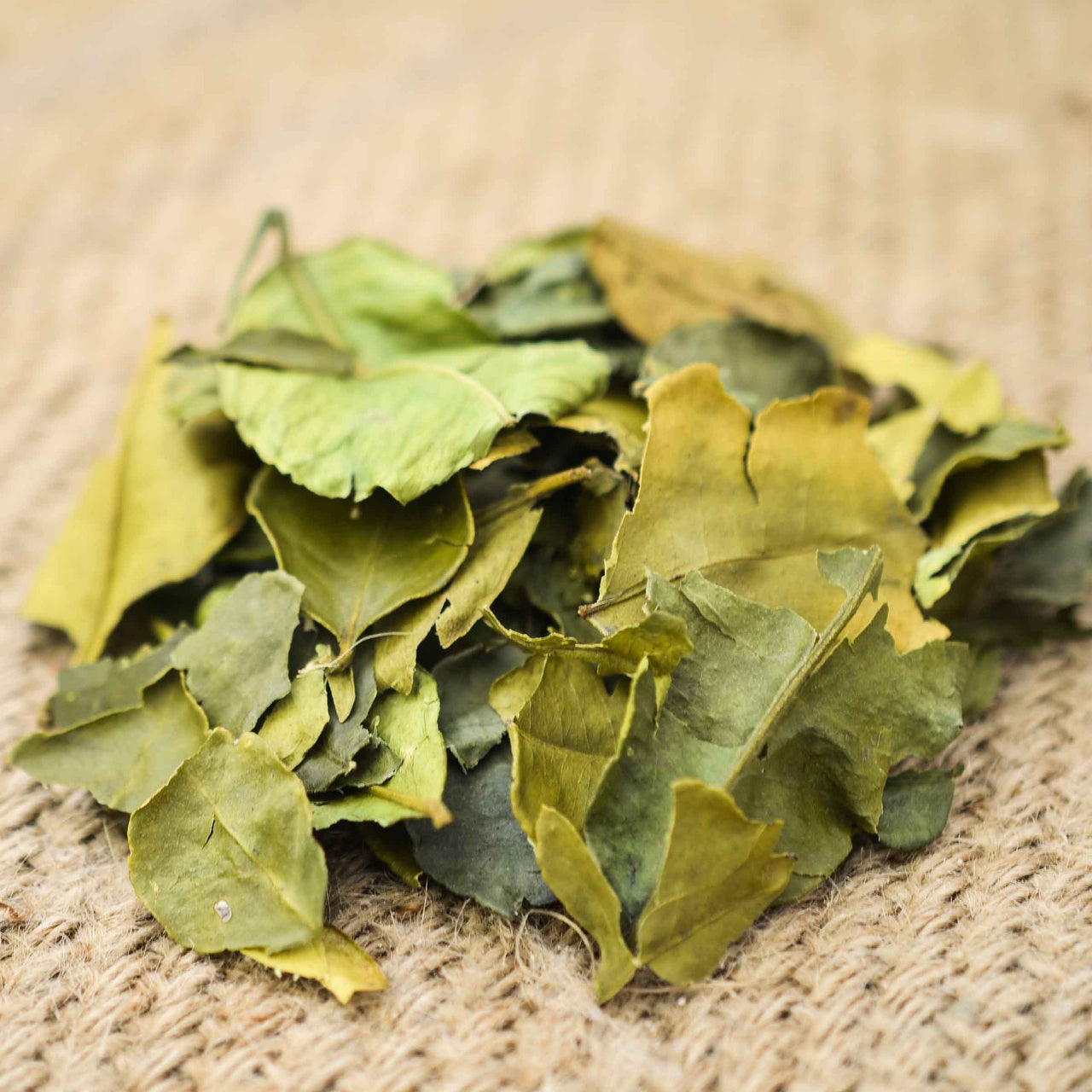 Makrut Lime Leaves Oaktown Spice Shop